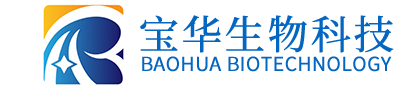 优博手机官方网站